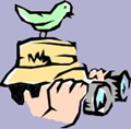Wildlife Viewing / Photography